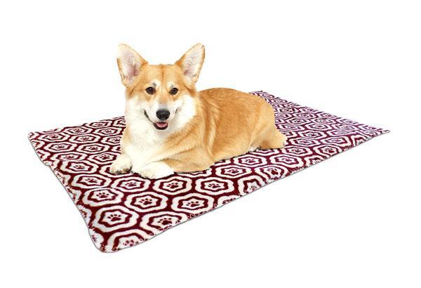 AKC Pillow and Blanket Bundle