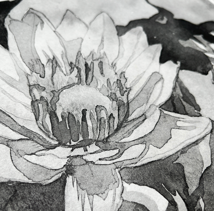 Asagami Paper 9.5" x 10.75" (20 Sheets)