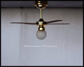 Battery Operated LED Ceiling Fan with Light C36