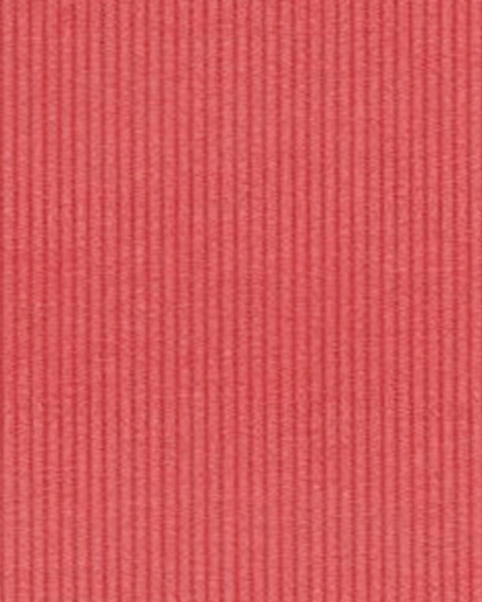 Brisbane Moss Coral Needlecord