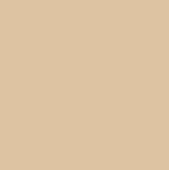 CHAMOIS