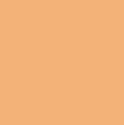 DARK SUNTAN