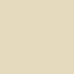 DULL IVORY