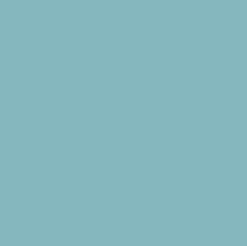 ICE OCEAN
