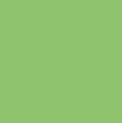 LETTUCE GREEN
