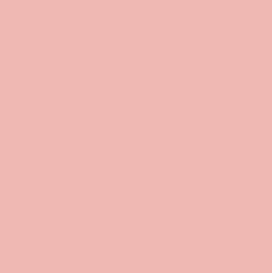 LIGHT PRAWN