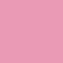 LIGHT ROUGE