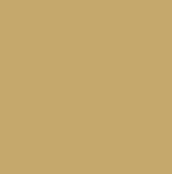 LIONET GOLD