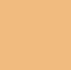 Tea Orange