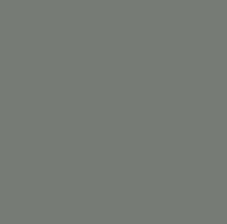 Warm Gray 7