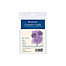 Creative Cards, Announcement Size 3.5" x 4.875", Ivory with Deckle - 6/Pkg.
