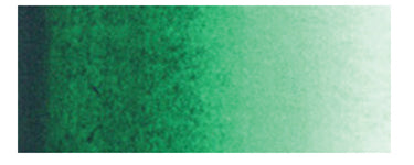 Bamboo Green