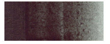 Shadow Green