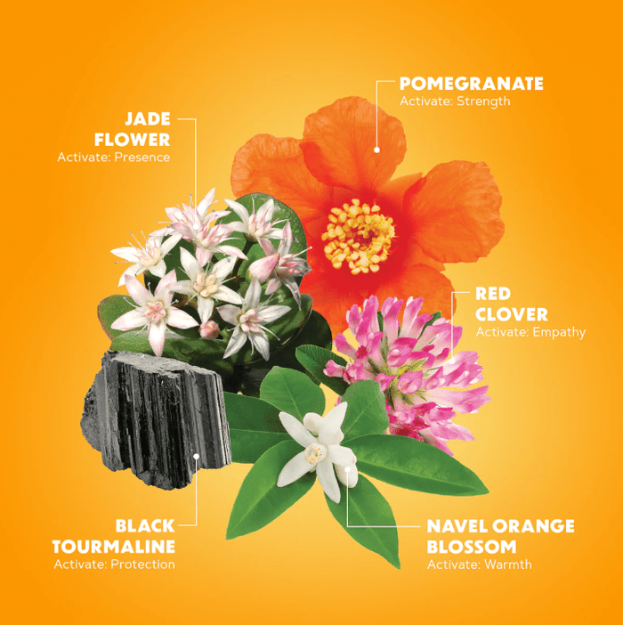 Lotuswei Radiant Energy Flower Elixir 2