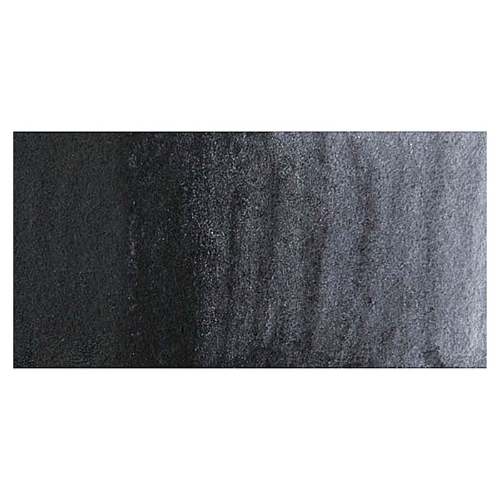 Neutral Tint