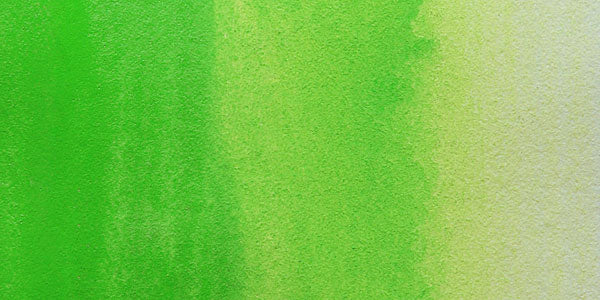 Permanent Green Pale