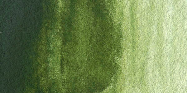 Sap Green