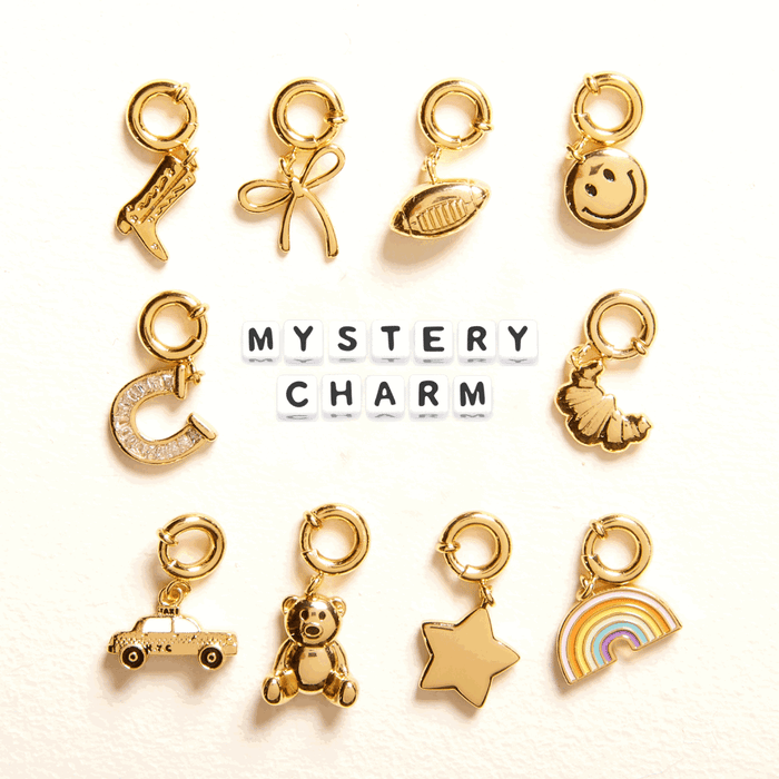 One Mystery Charm