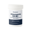 Pendulum Akkermansia 500 Pro