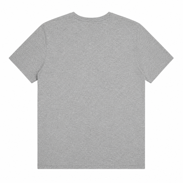 Playera Para Caballero Gris LSN