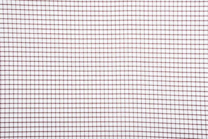 Red Graph Checks Shirt