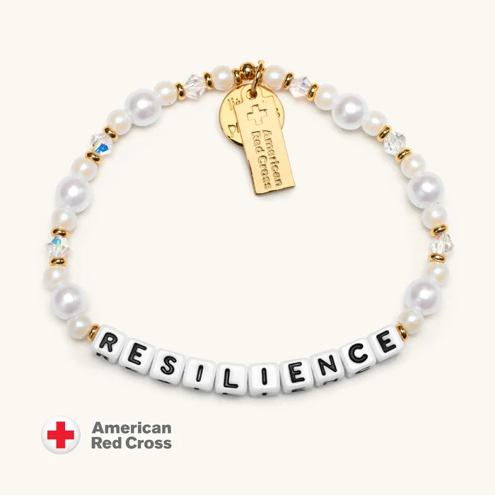 Resilience- Disaster Relief