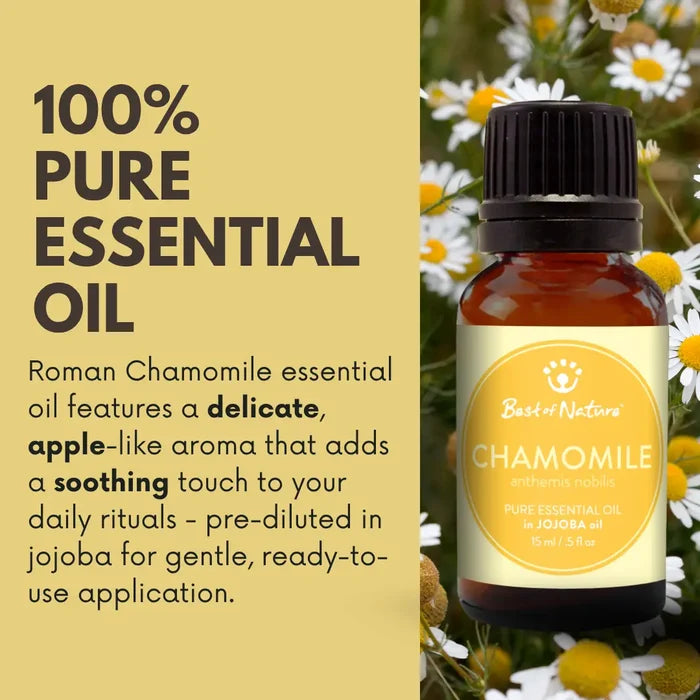 Roman Chamomile Essential Oil Blended with Jojoba Oil – view 3