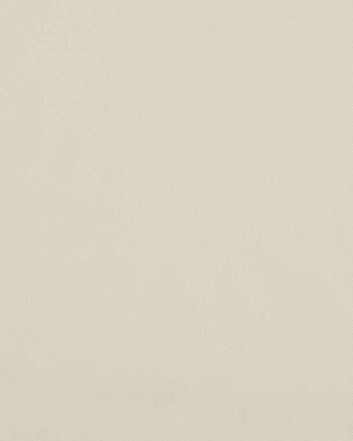 Stone Chino